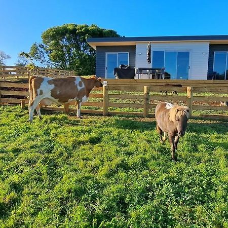 Country Comfort - Only 10 Minutes From Hamilton Cbd מראה חיצוני תמונה