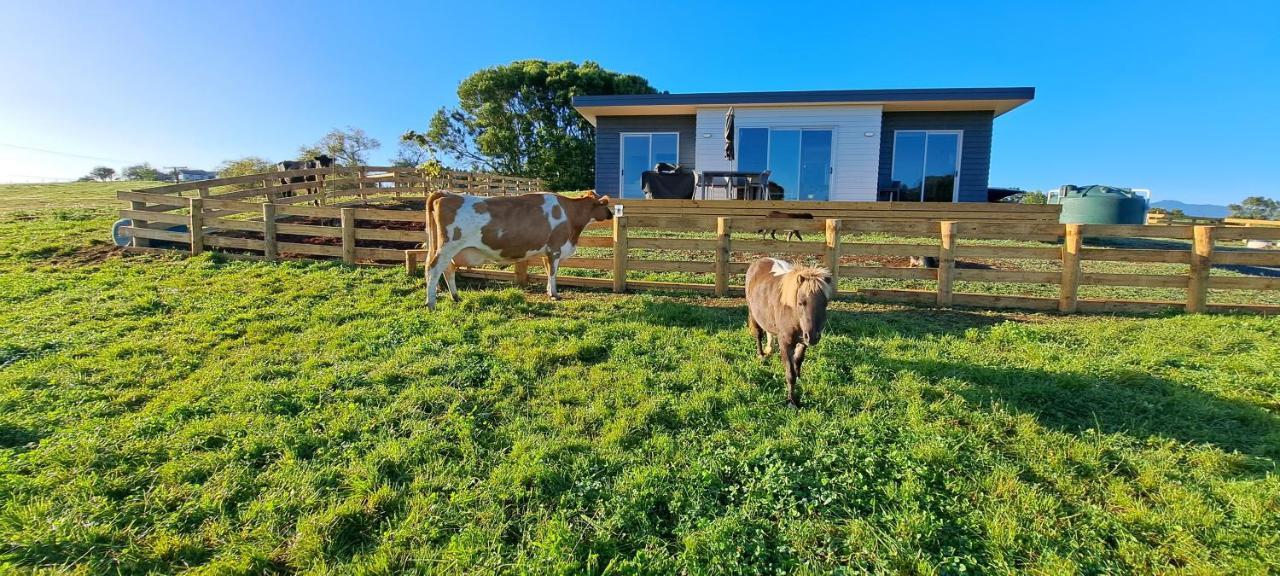 Country Comfort - Only 10 Minutes From Hamilton Cbd מראה חיצוני תמונה