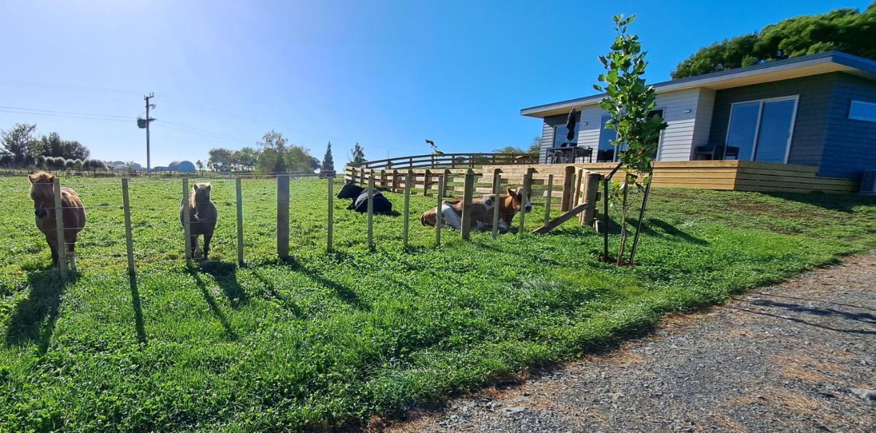 Country Comfort - Only 10 Minutes From Hamilton Cbd מראה חיצוני תמונה