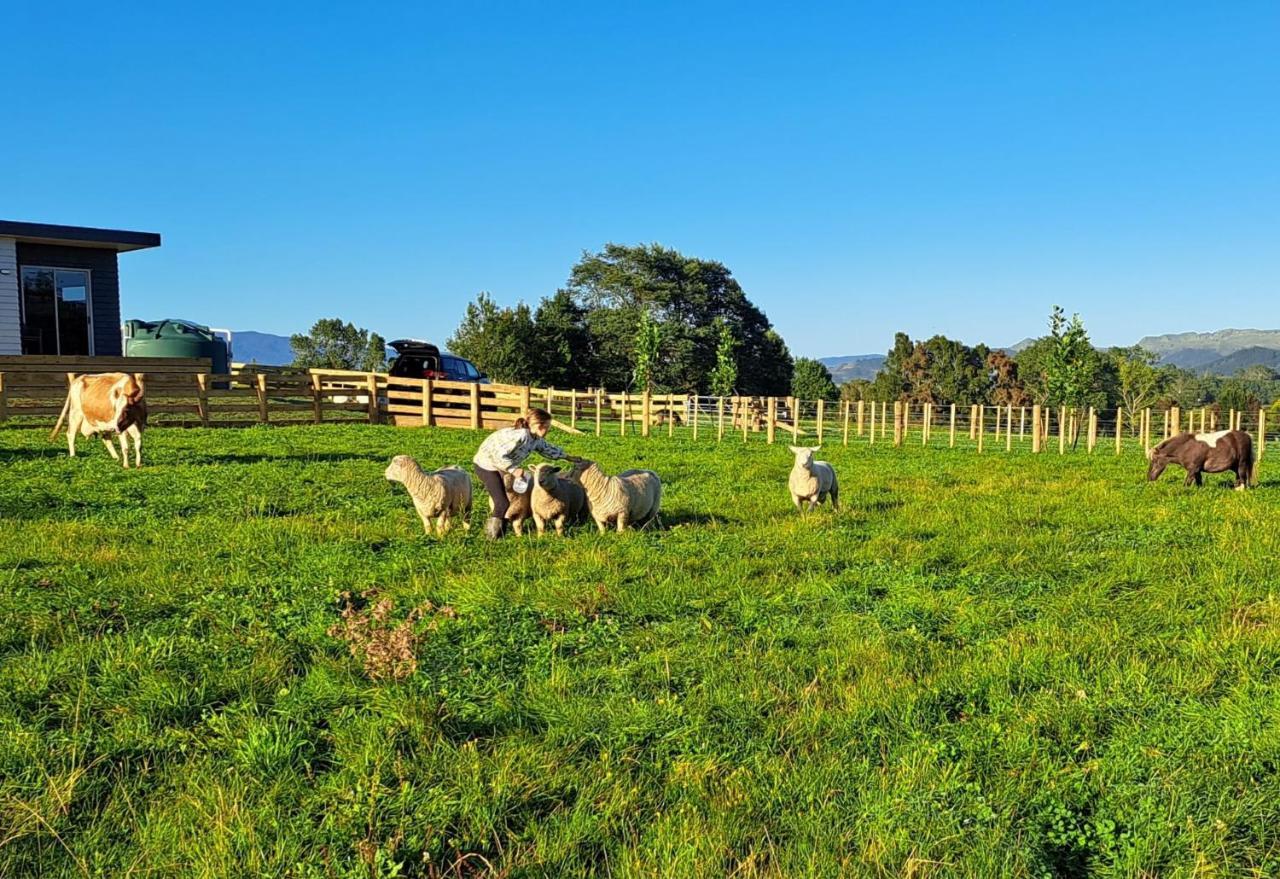 Country Comfort - Only 10 Minutes From Hamilton Cbd מראה חיצוני תמונה