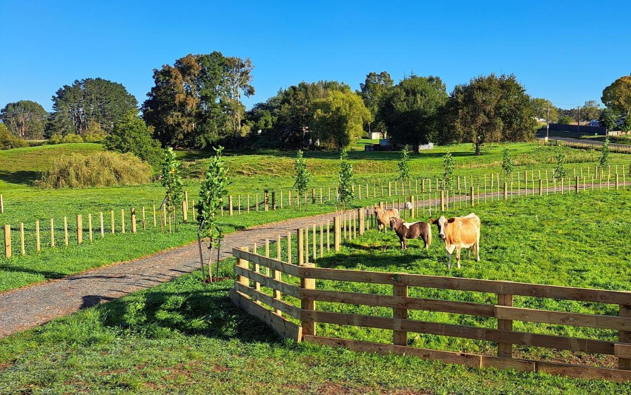 Country Comfort - Only 10 Minutes From Hamilton Cbd מראה חיצוני תמונה