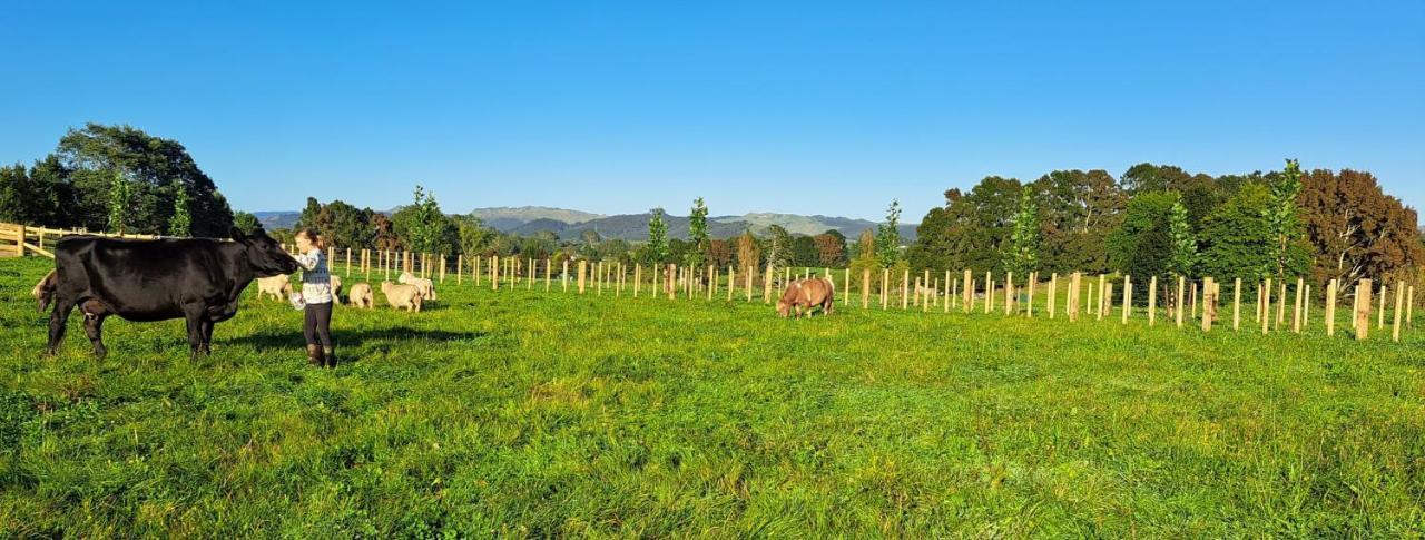 Country Comfort - Only 10 Minutes From Hamilton Cbd מראה חיצוני תמונה