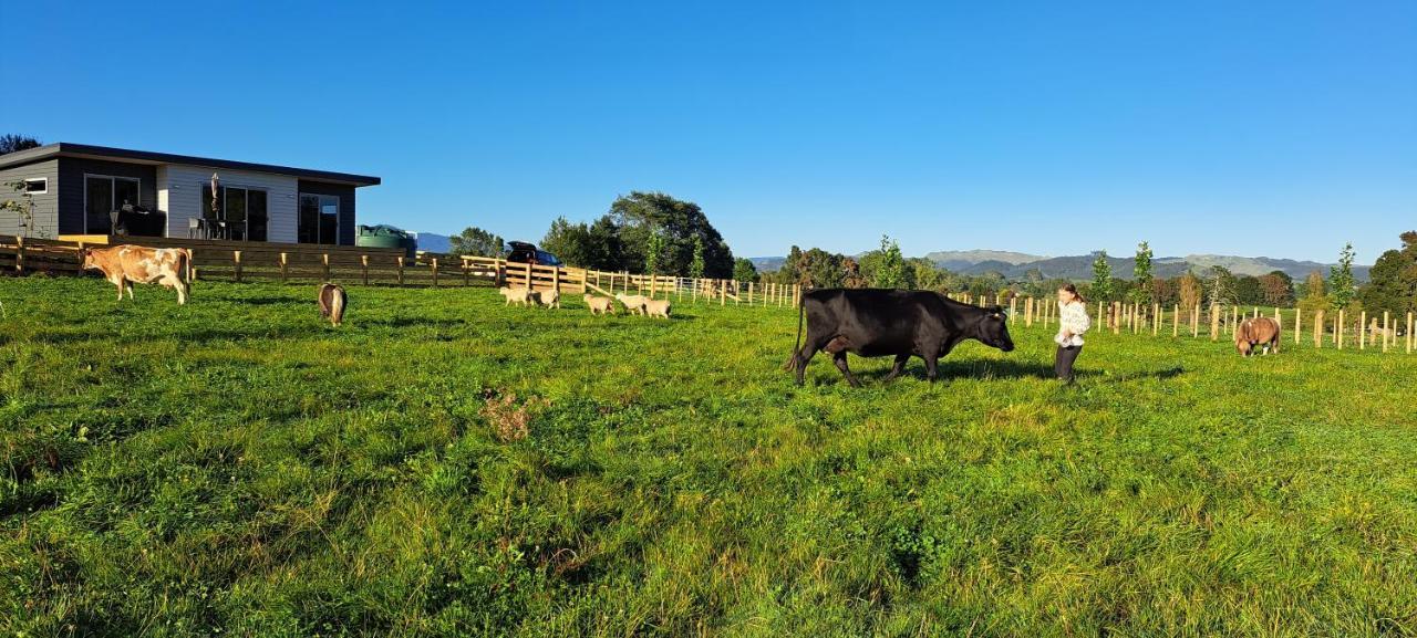 Country Comfort - Only 10 Minutes From Hamilton Cbd מראה חיצוני תמונה